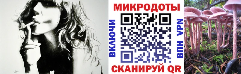 Псилоцибиновые грибы Psilocybine cubensis  Певек 